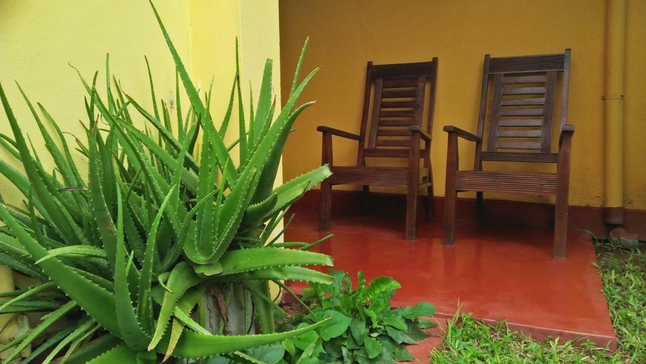 The Catipe Lodge Hikkaduwa Kültér fotó